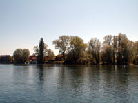 Seerhein